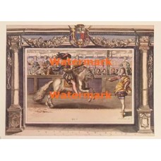 Knights  - XD7360  -  PRINT