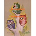 Green Owl Red Owl Purple Owl  - XD7519  -  PRINT