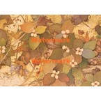 Foliage  - XD8190B  -  PRINT