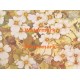 Foliage  - XD8190C  -  PRINT