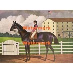 The Winner  - XBAMER29  -  PRINT