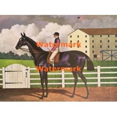 The Winner  - XBAMER29  -  PRINT