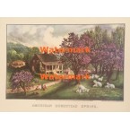 American Homestead Spring  - XBCI-102  -  PRINT