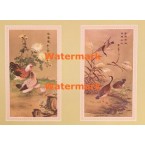 Birds  - XKN1205  -  PRINT