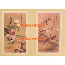 Birds  - XKN1205  -  PRINT