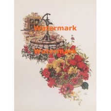 Flowers At Water Pump  - XKN4002  -  PRINT