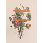 Bouquet  - XKN7908  -  PRINT