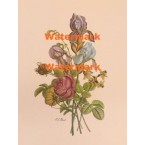 Bouquet  - XKN7909  -  PRINT