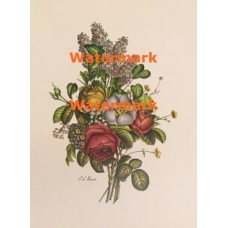 Bouquet  - XKN7910  -  PRINT