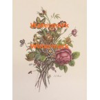 Bouquet  - XKN7911  -  PRINT