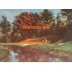 Putt For Dough  - XBSC670  -  PRINT