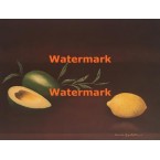 Avocado  - XBSL81  -  PRINT