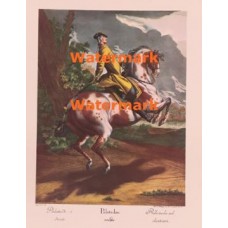 Palotaden  - XBSP285  -  PRINT