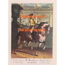 Le Trot  - XBSP286  -  PRINT