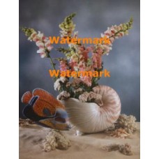 Under the Sea  - #XAR3849  -  PRINT