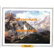 Mountain Domain  - #XBAN1125  -  PRINT