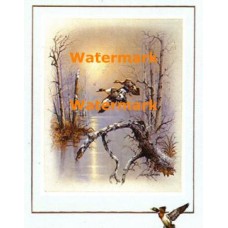 Ducks In Flight  - #XBBI-830  -  PRINT
