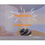 Floral Vases  - #XBPP309  -  PRINT