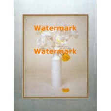 White Roses  - #XBPP329  -  PRINT