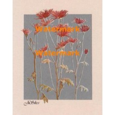 Spidermums on Silver  - #XBPP377  -  PRINT