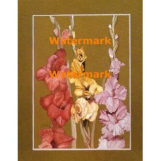 Gladiolas with Gold  - XBPP378  -  PRINT