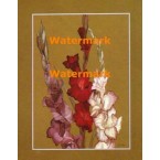 Gladiolas with Gold  - XBPP379  -  PRINT