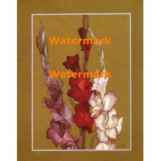 Gladiolas with Gold  - XBPP379  -  PRINT