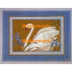 Country  - #XBPP384  -  PRINT