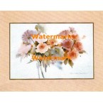 Dream Florals  - XBPP404  -  PRINT