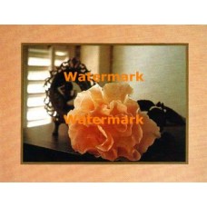 Self Portrait  - #XBPP423  -  PRINT