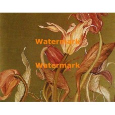Floral  - XBPP461  -  PRINT