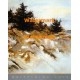 Whispering Cove  - #XBPP522  -  PRINT