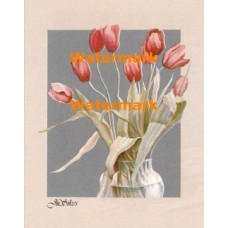 Tulips on Silver  - #XBPP530  -  PRINT