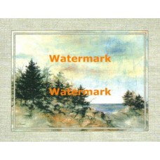 Whispering Cove  - #XBPP552  -  PRINT