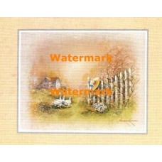 Farmyard Geese  - XBSC3515  -  PRINT