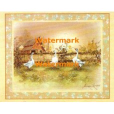 Garden Geese  - XBSC3556  -  PRINT
