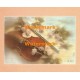 Violin  - #XBSL741  -  PRINT
