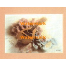 Mandolin  - #XBSL742  -  PRINT