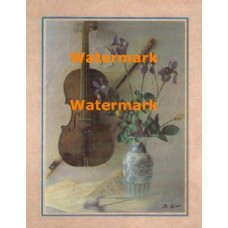 Violin  - #XBSL811  -  PRINT