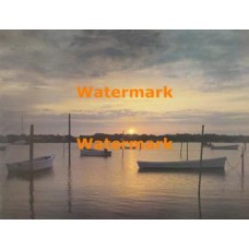 Scene  - #XS3234  -  PRINT