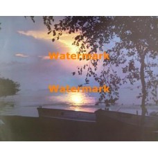 Scene  - #XS3235  -  PRINT