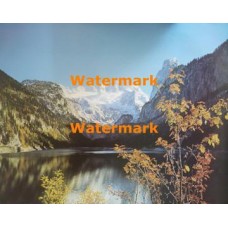 Scene  - #XS3237  -  PRINT
