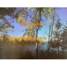 Scene  - #XS3238  -  PRINT