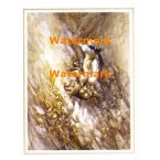 Girl in Field  - XS3359  -  PRINT