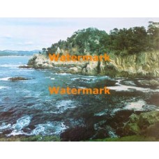 Scene  - #XS3586  -  PRINT