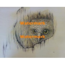 On Watch  - #XS3823  -  PRINT