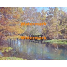 Scene  - #XS4092  -  PRINT
