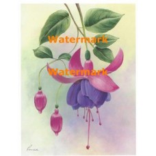 Lavendar/Red Fuchsia  - #XM474 -  PRINT