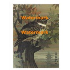 Oriental Owl  - #XRA1372  -  PRINT