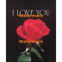 I Love You  - XS10497  -  PRINT